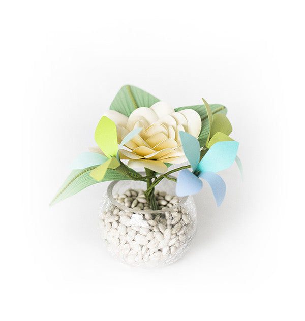 Rose and Hydrangeas in Vase