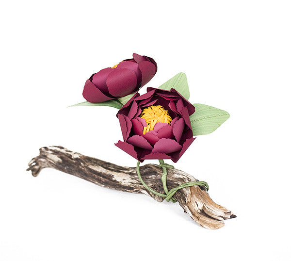 Peonies on Driftwood