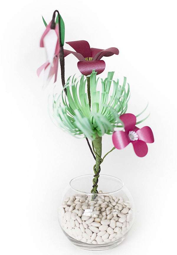 Spider Mum in Vase
