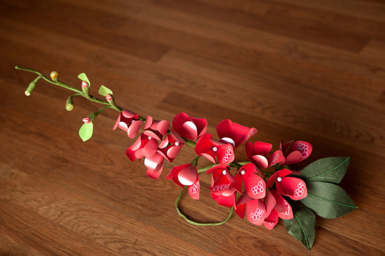 Foxglove Branch
