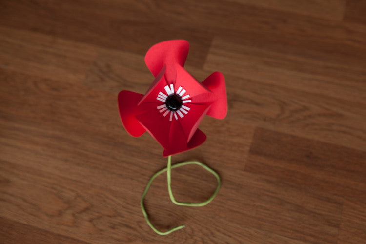 Poppy - Mini