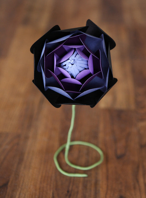 Peony