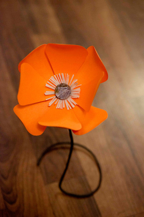 Poppy