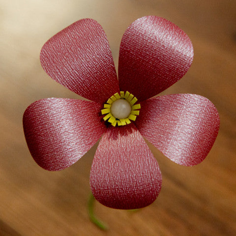 Anemone