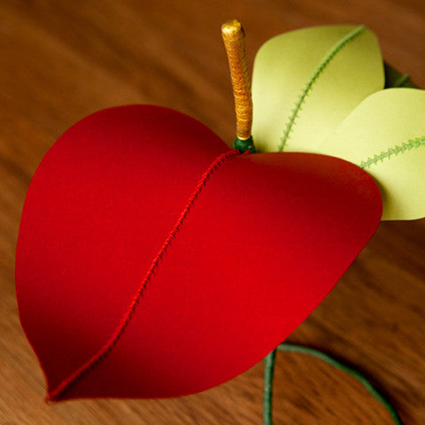 Anthurium