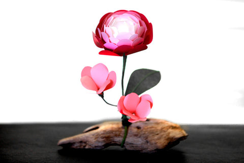 Ranunculus and Blossoms on Driftwood