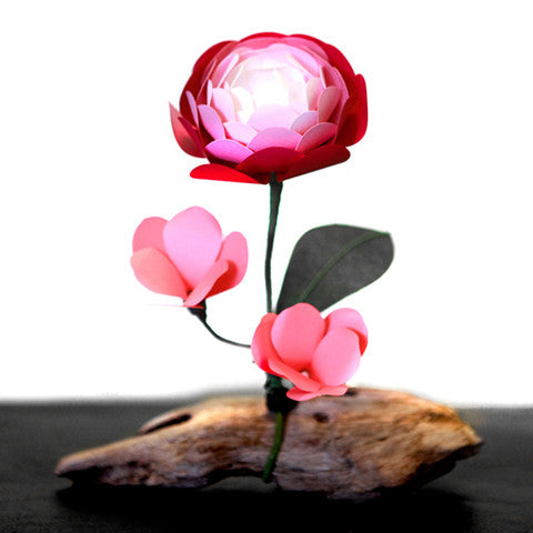 Ranunculus and Blossoms on Driftwood